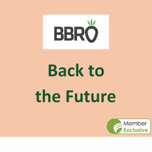 BTTF Featured Images (12)