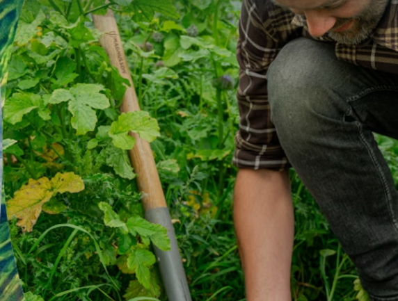 Interconnectivity at heart of The Crown Estate’s new Nature Recovery approach