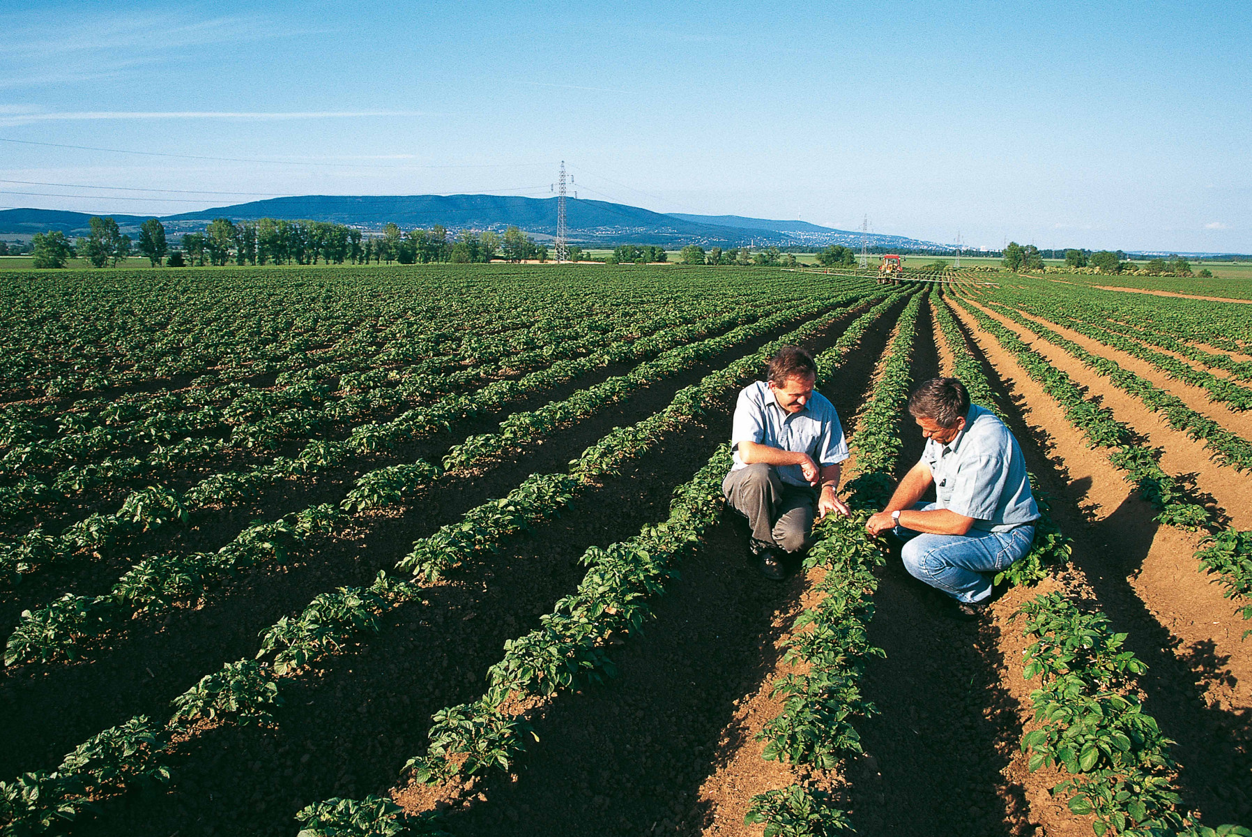 Bayer and Ecospray Reach Distribution Agreement for New Garlic-Sourced Biological Crop Protection Product