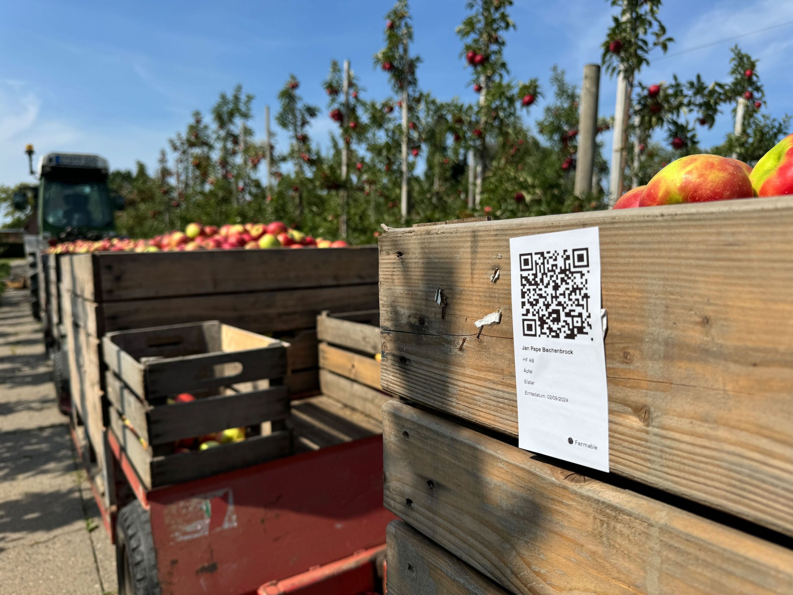 Hack Your Apple Harvest in 2025