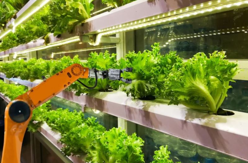 Protecting IP in vertical farming stacks up