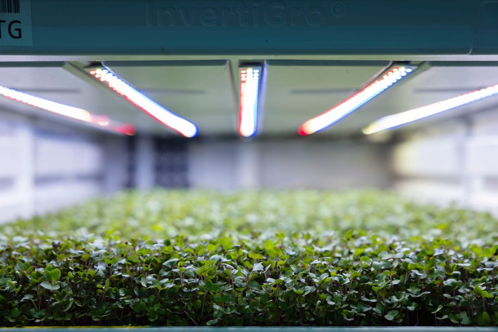 EVOKEAG2025_TheCommon-249-web