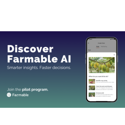 What We Learned from Farmable’s AI Pilot