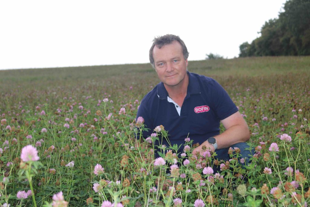 Tom Allen-Stevens landscape small