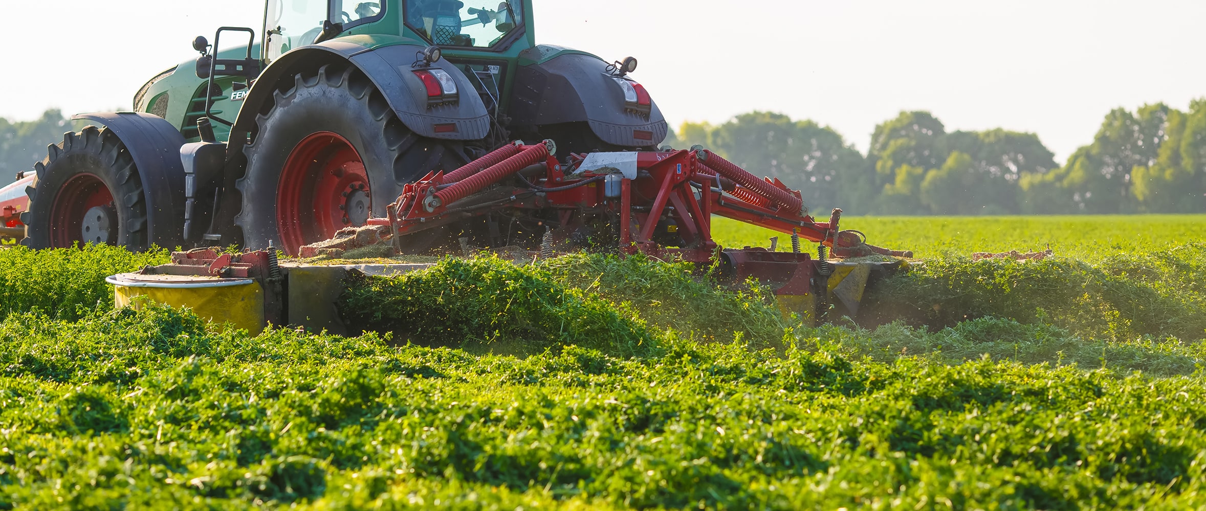 First-Cut Silage Strategy: Why Patience Pays Off