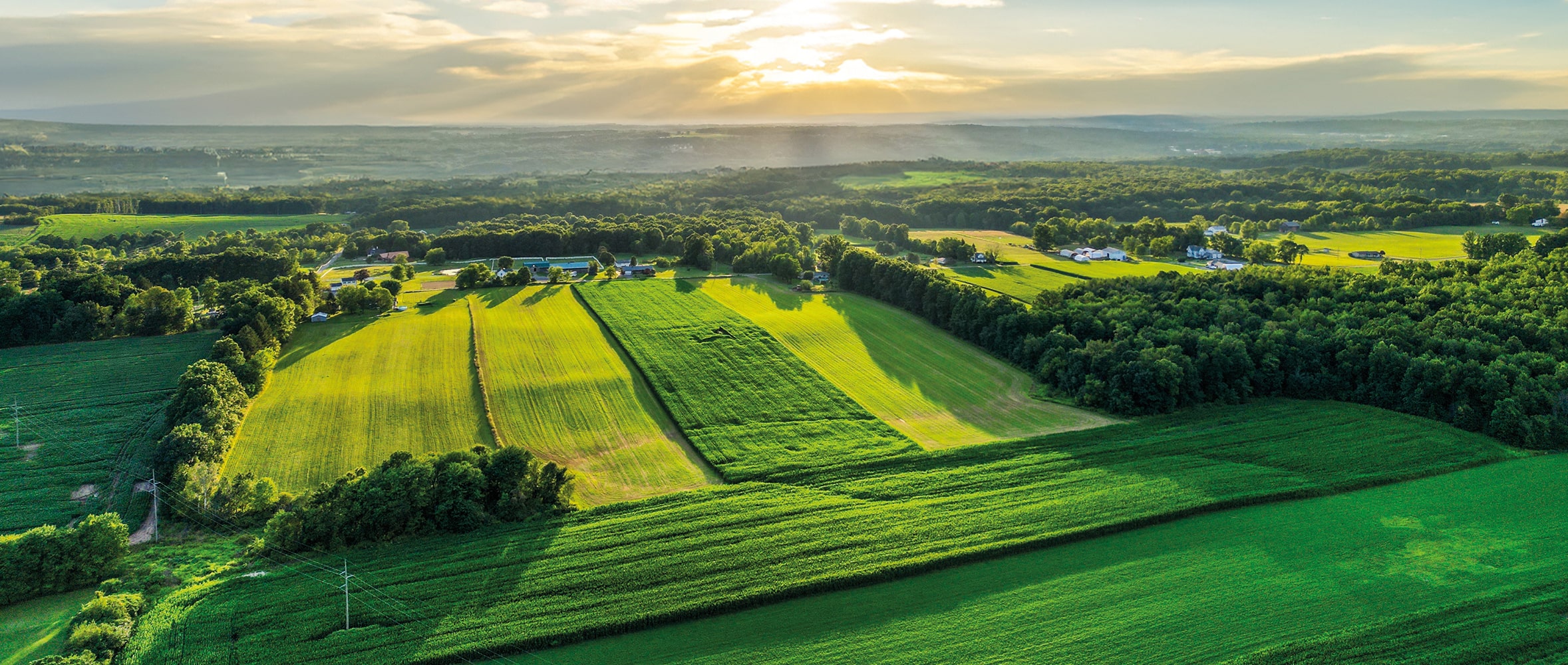 Farm Fodder Flow: Go With The Flow