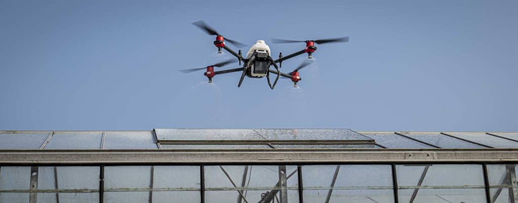 Coletta Tyson Shading at Low Farm-26