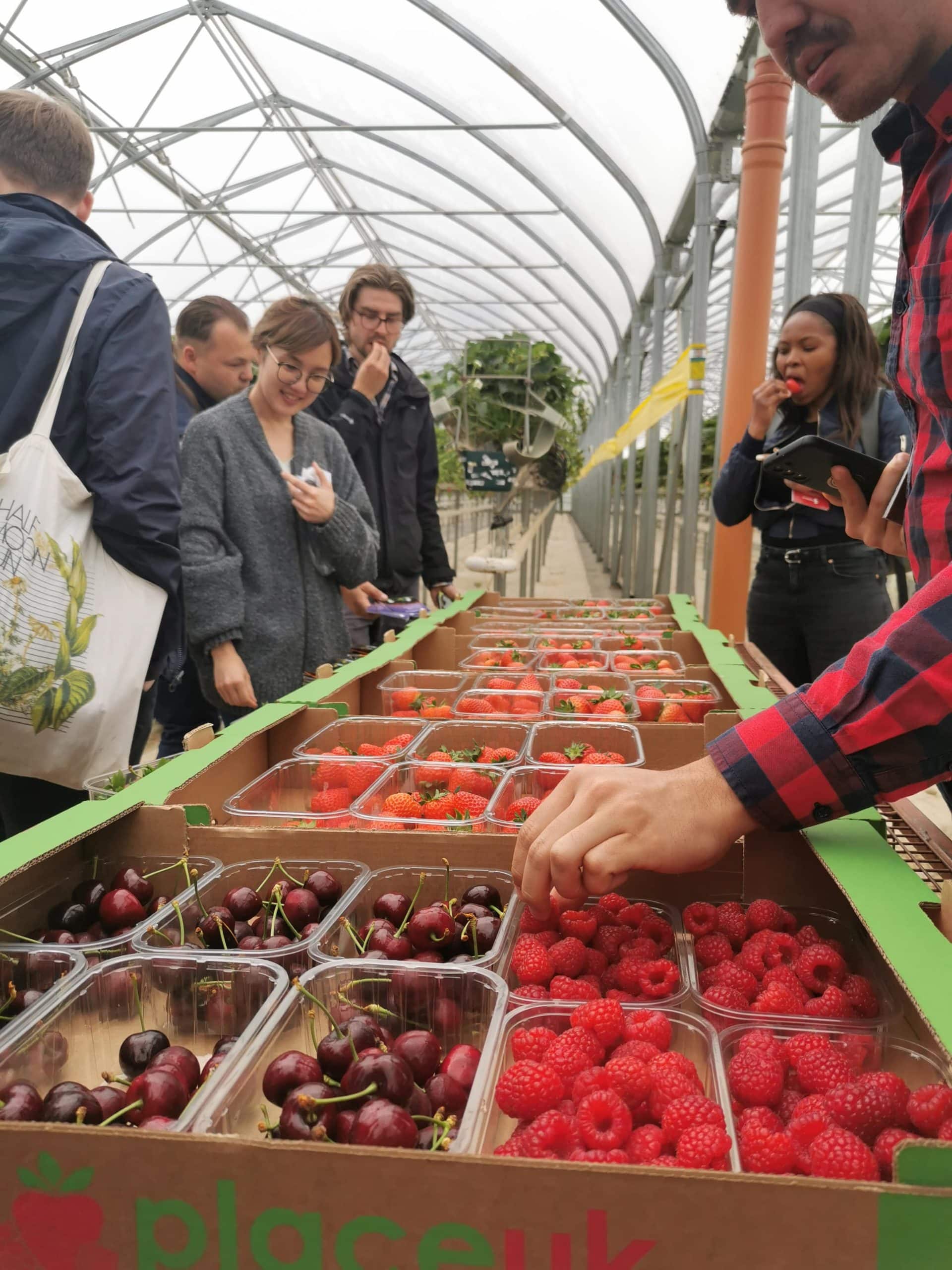 Discovering Innovation and Sustainability at Place UK’s Berry Farm