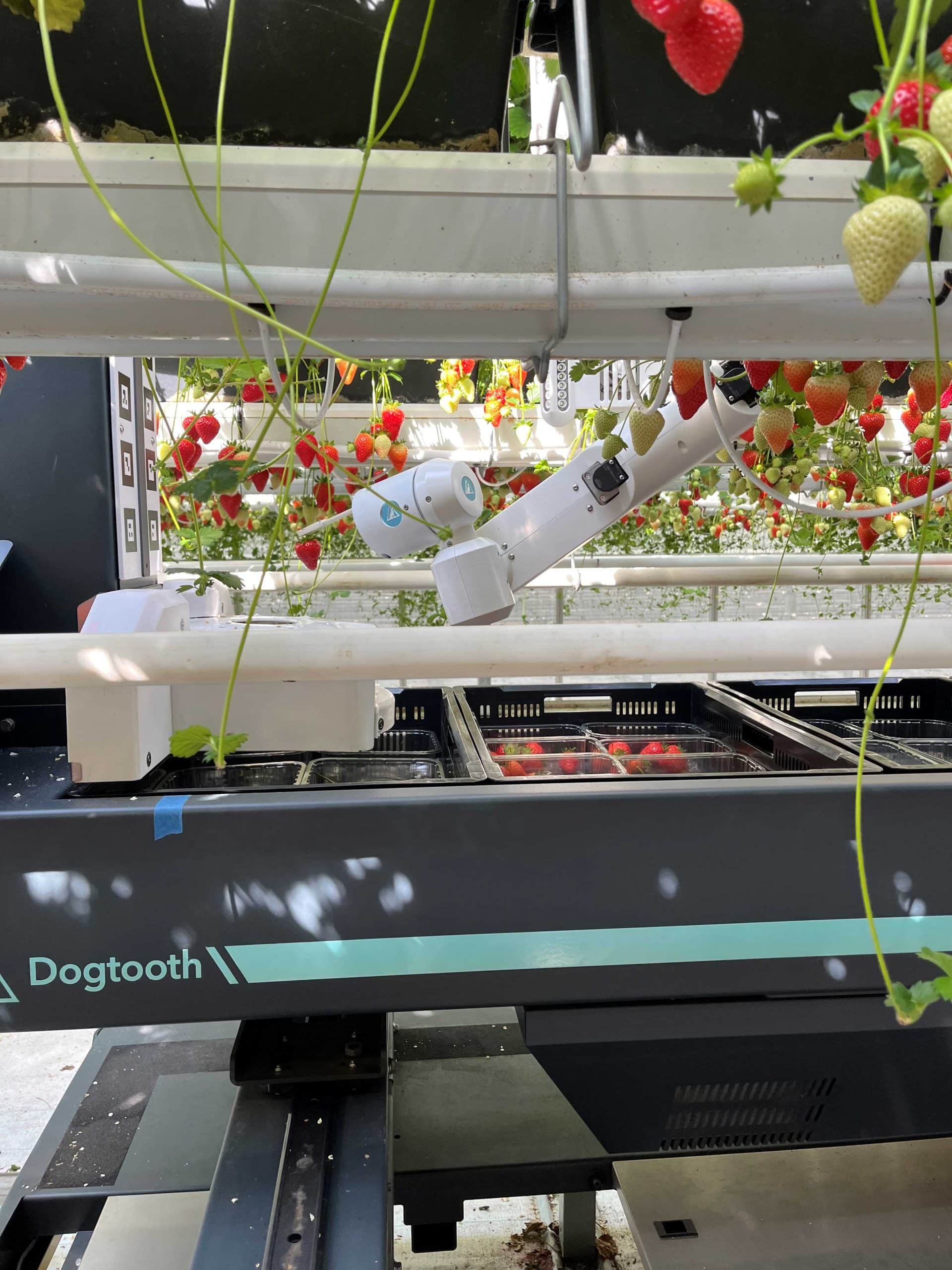 May’s UK Food Valley News Bulletin – Innovation Edition