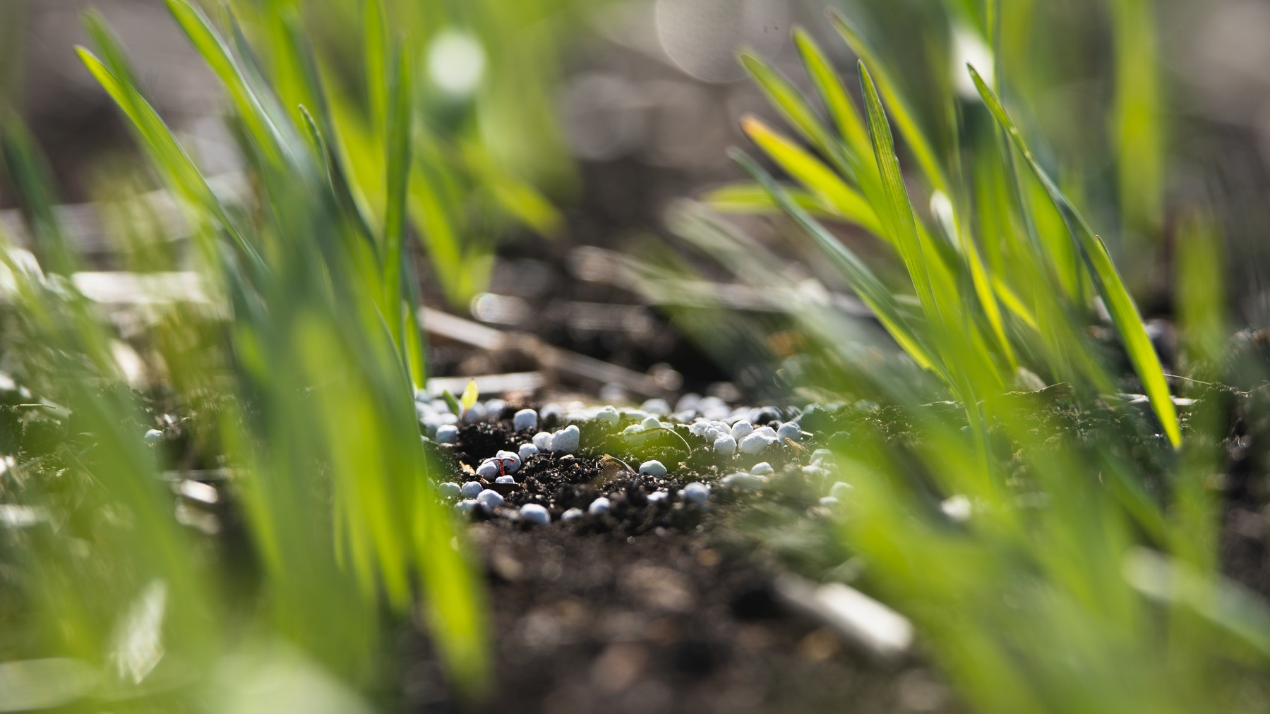 Future of Fertiliser Report Launched
