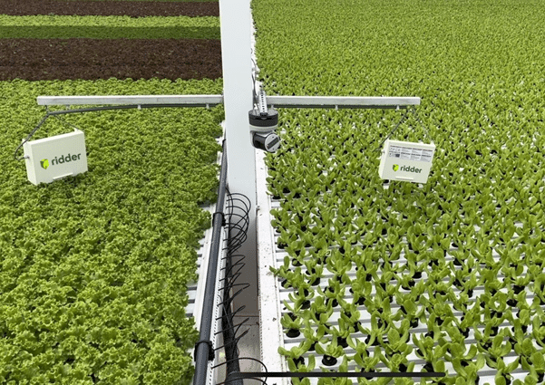 Real Time Crop Photosynthesis insights directly integrated with Ridder Hortimax Pro.