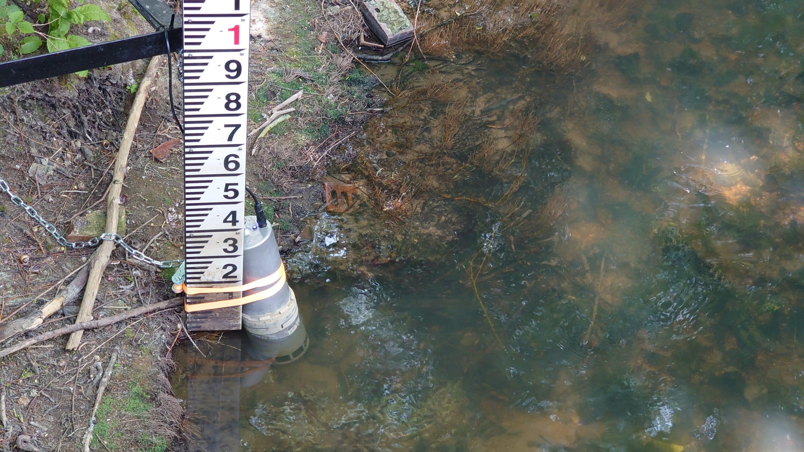 Water quality sensor measures nitrates and nutrients