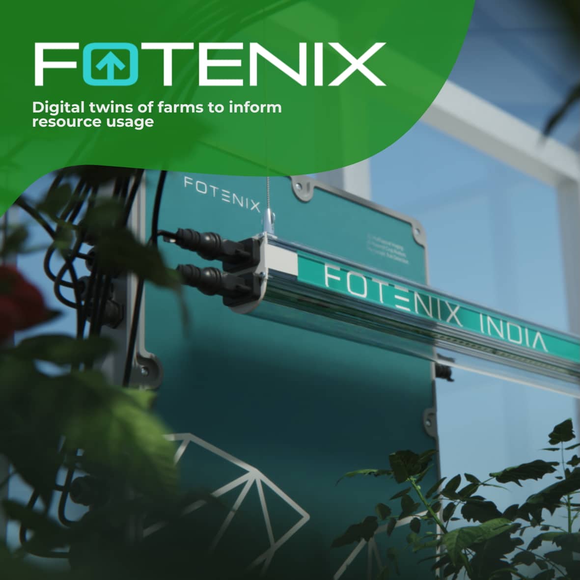 Revolutionizing Crop Monitoring with Angus Soft Fruits