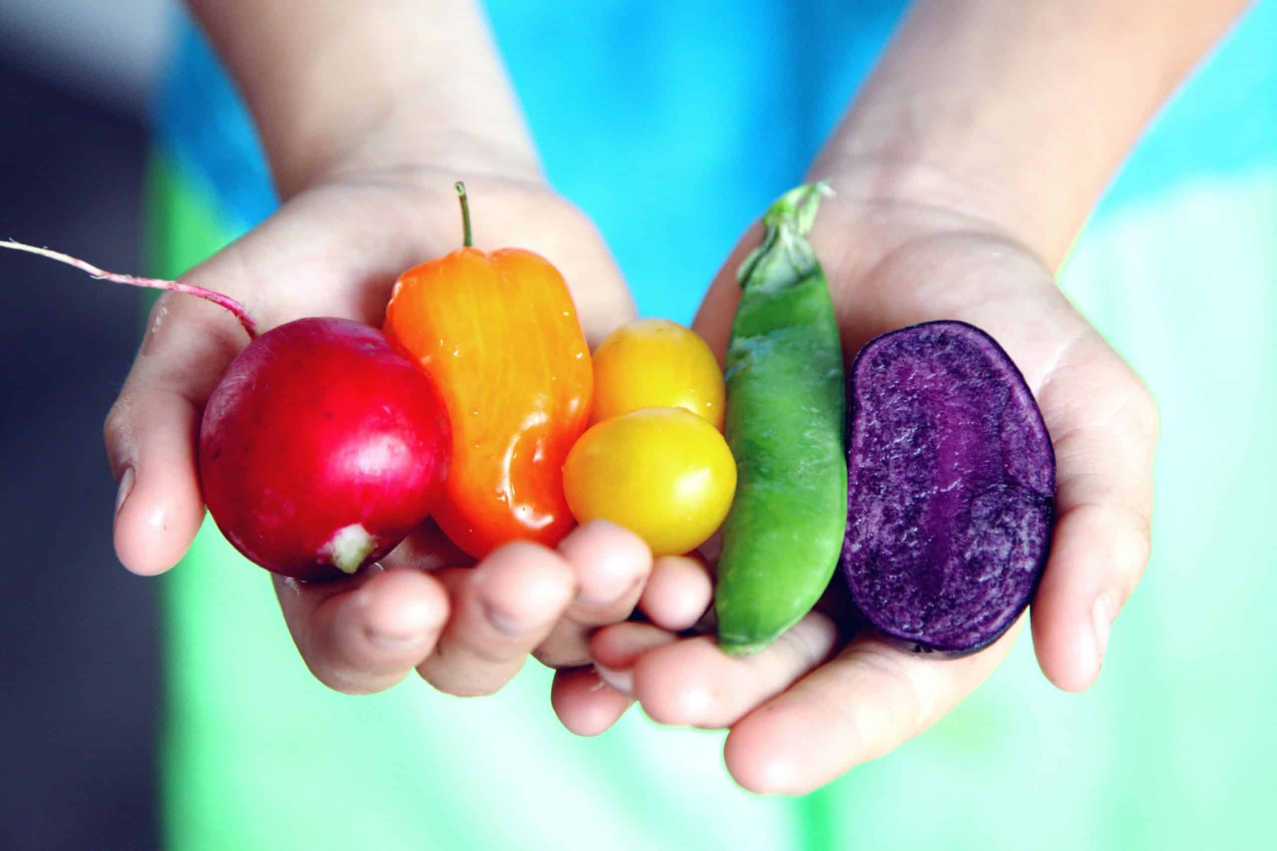 From farm to fork: An ambitious food strategy published by government