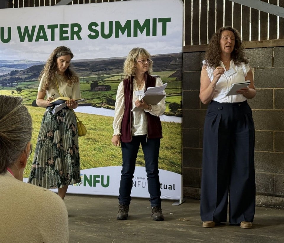 Reimagining the ‘F-word’