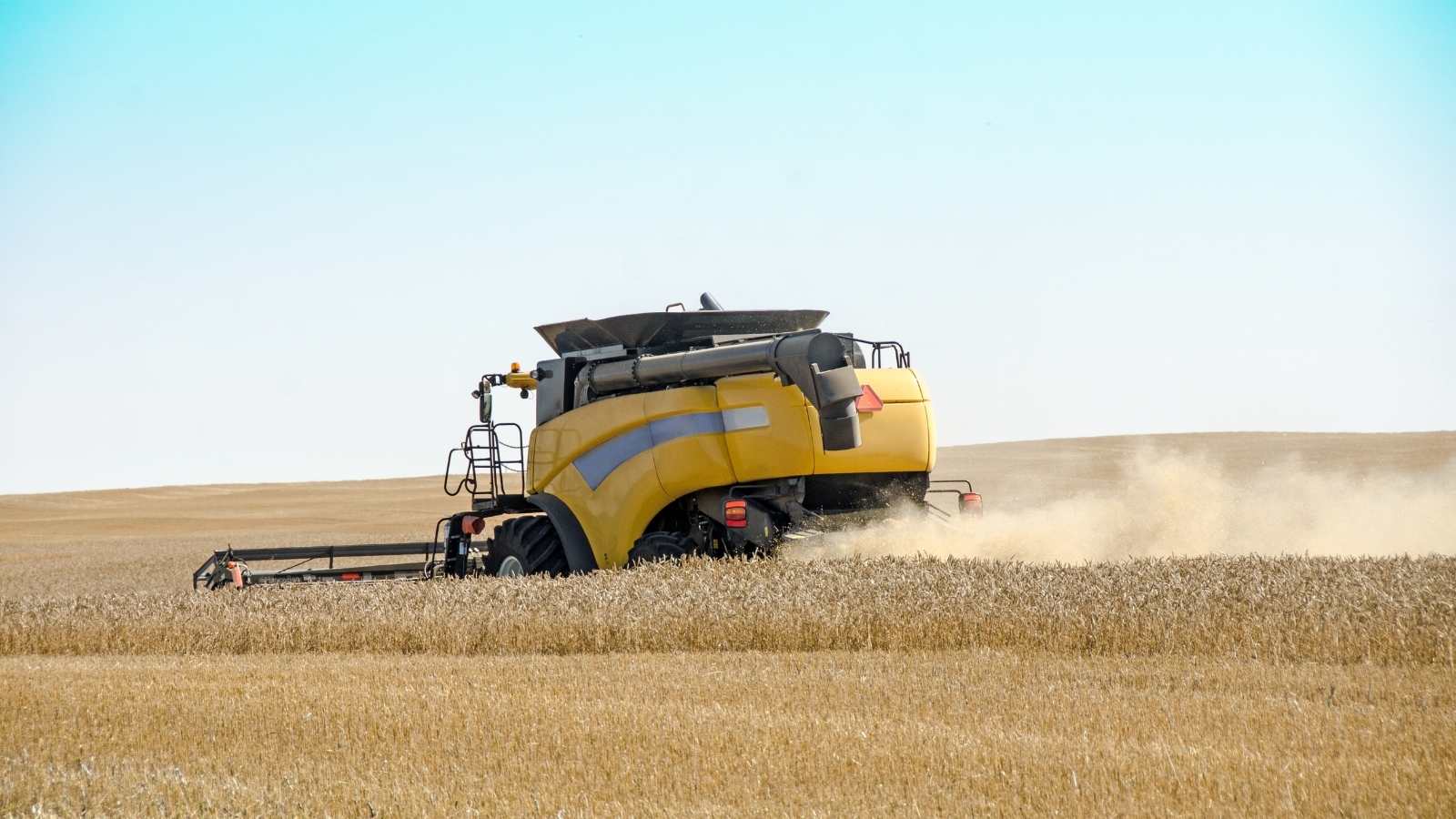 Farming Update – July 2025