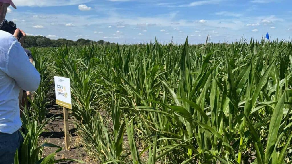 Blog Heroes – 2025-08-06T161046.474