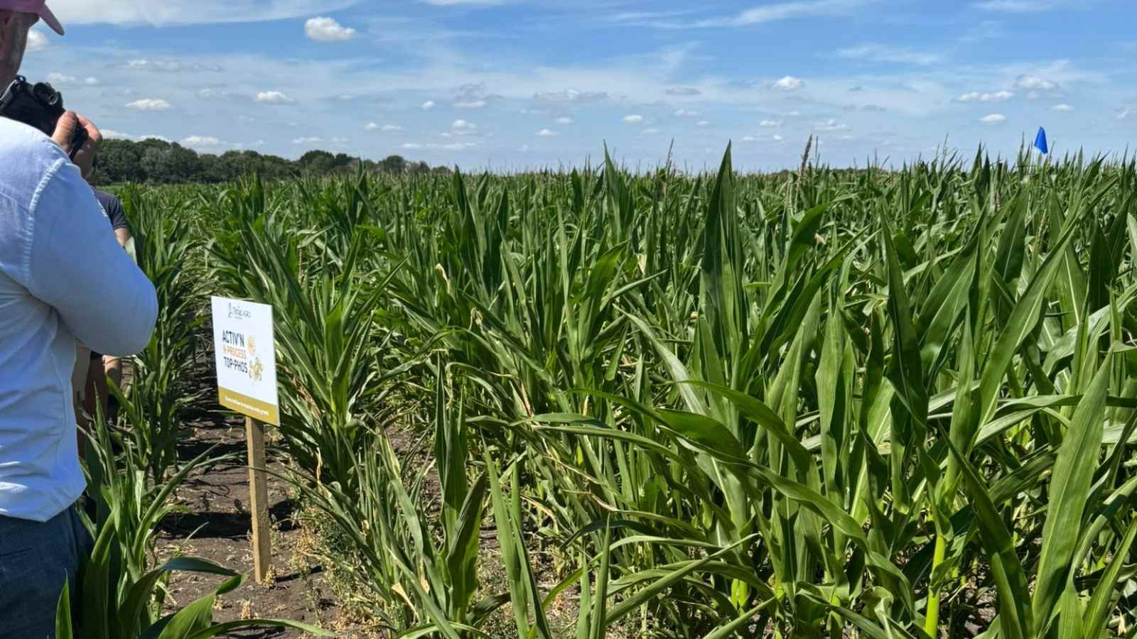 Ceres Research Business Update – August 2025