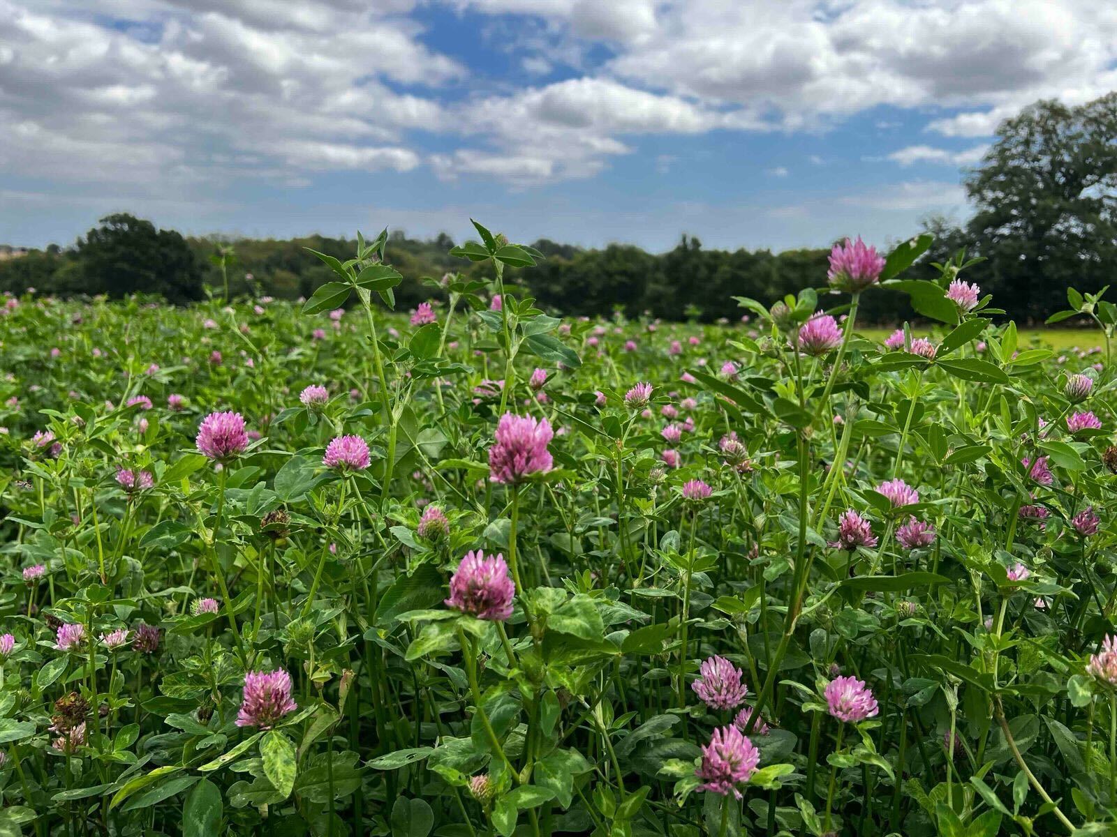 70c767c7-44af-475f-8aa5-042ccb02c392