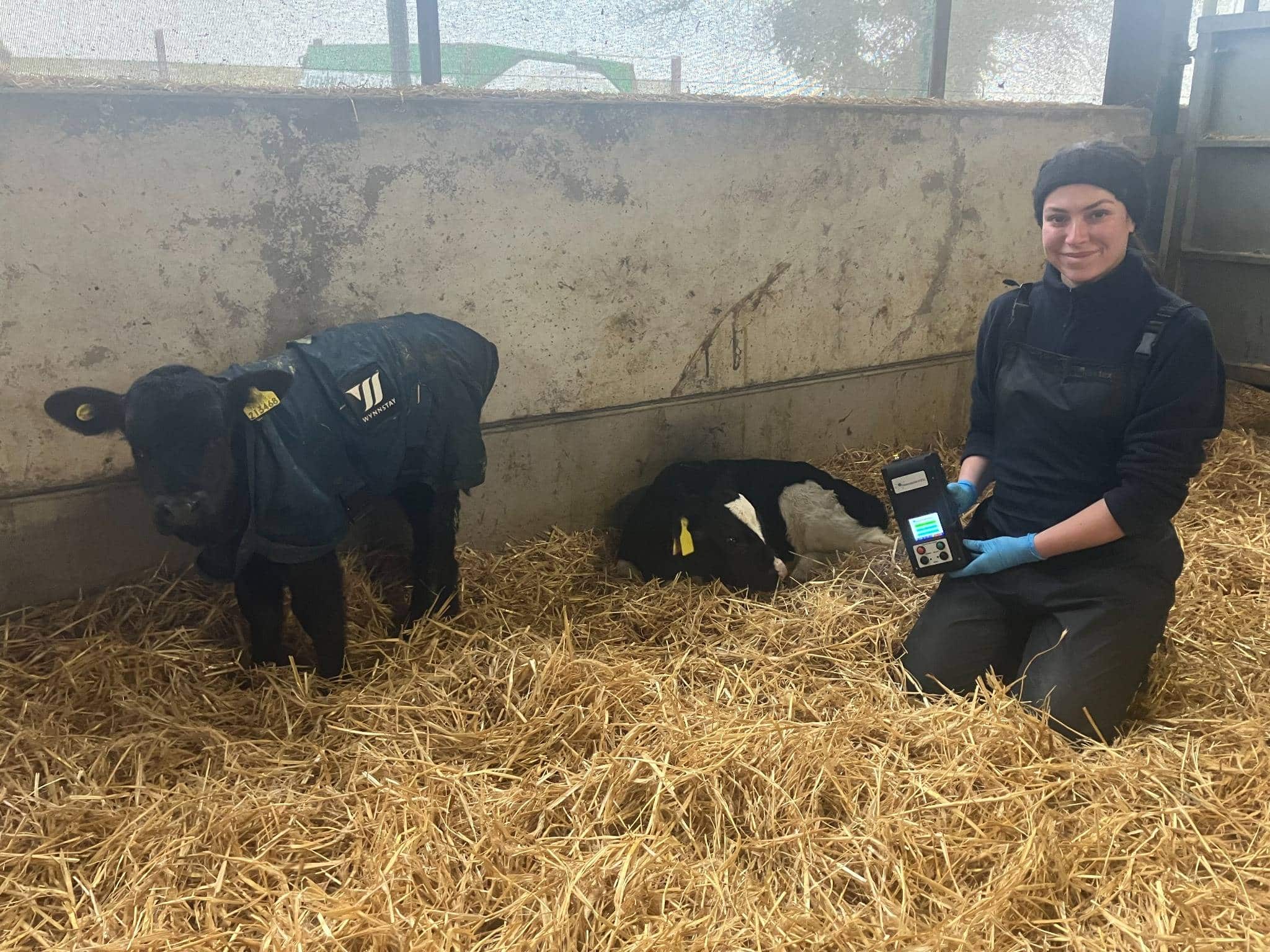 Nantwich Farm Vets Partnering in Calf Health Innovation