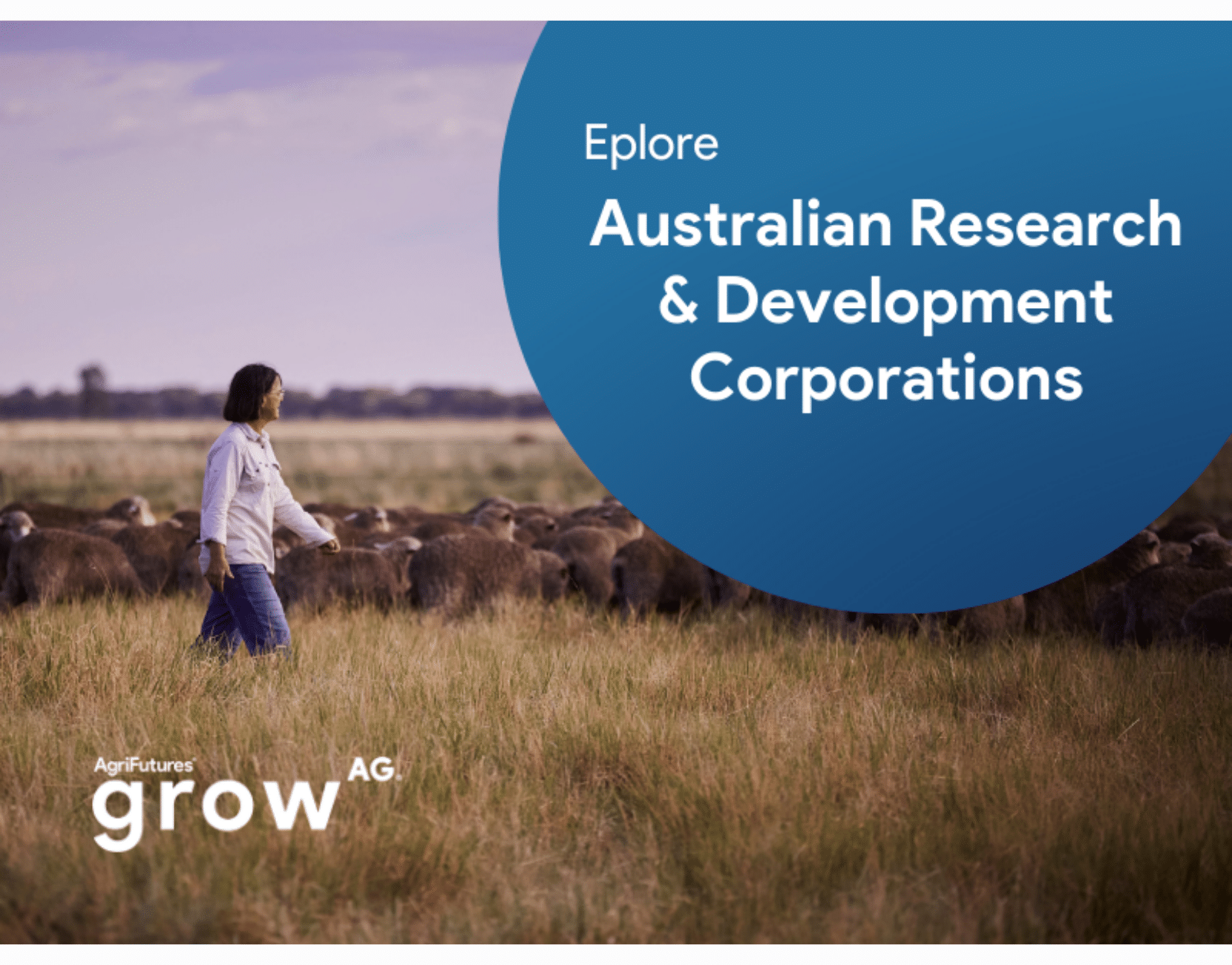 A new way to navigate Australia’s Research and Development Corporations