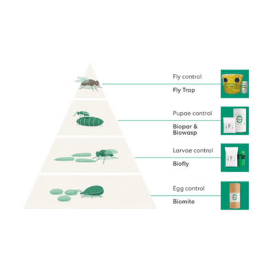 Nantwich Farm Vets drive growth of biological fly control on North West farms