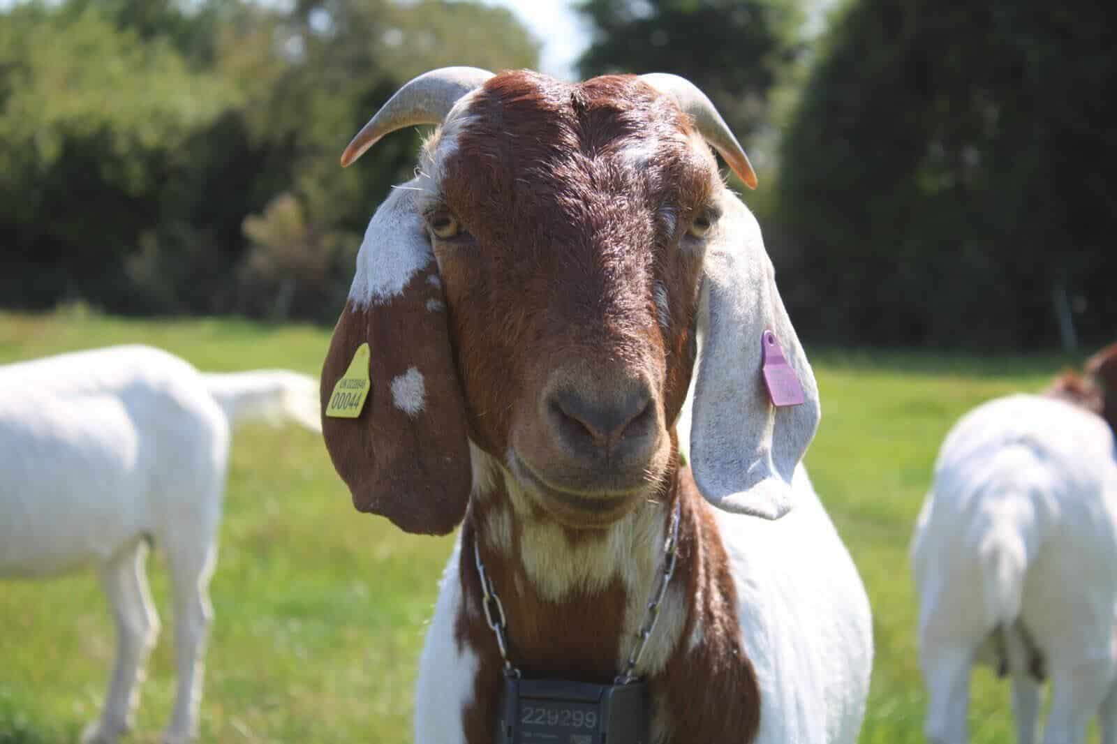 fb7f3196-4ea2-4dcc-8cfd-b76b0dae5c29