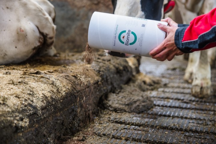 h8c8d256efd1d23ee4c7dce9150971b26