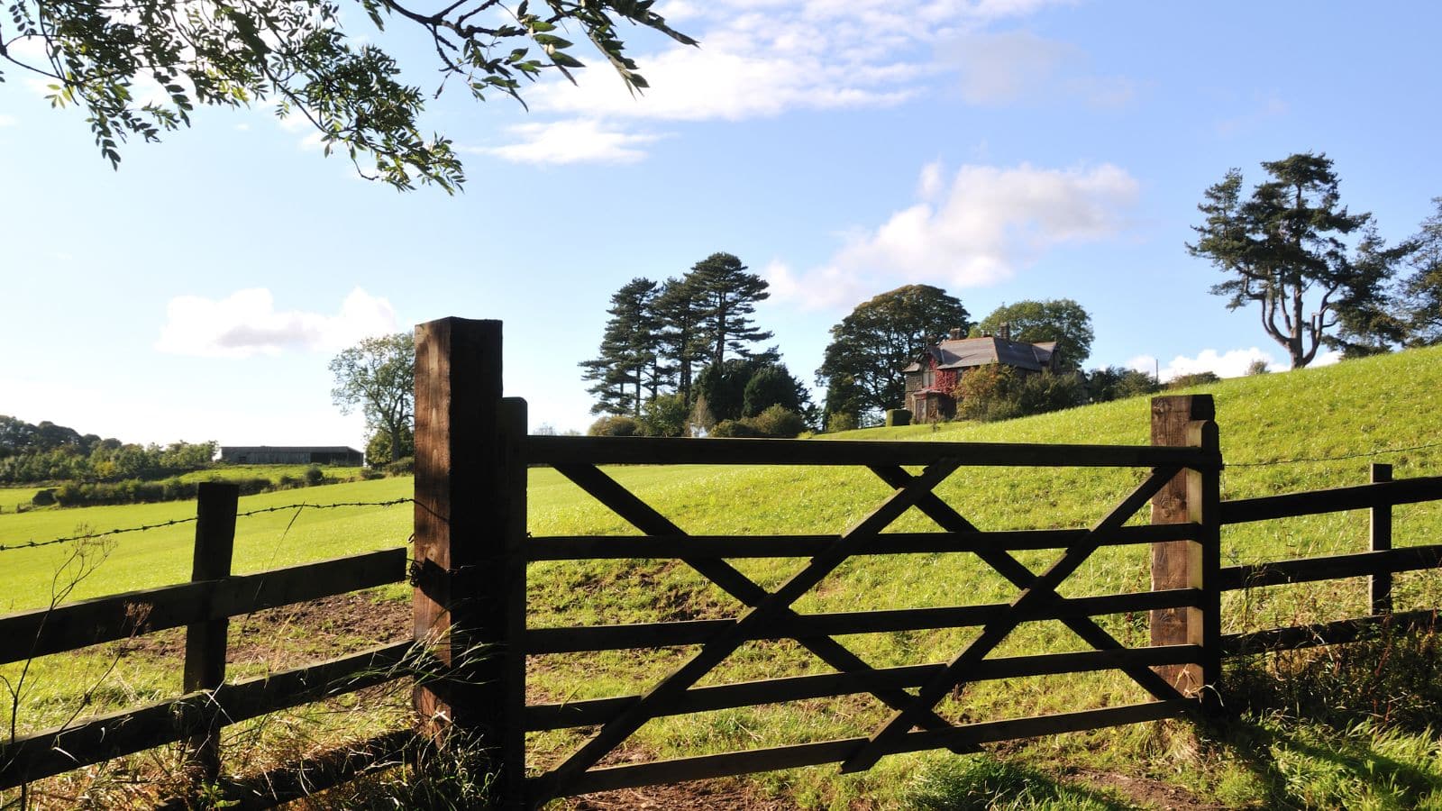 Ceres Group Respond To: Expanding The Role Of The Private Sector In Nature Recovery