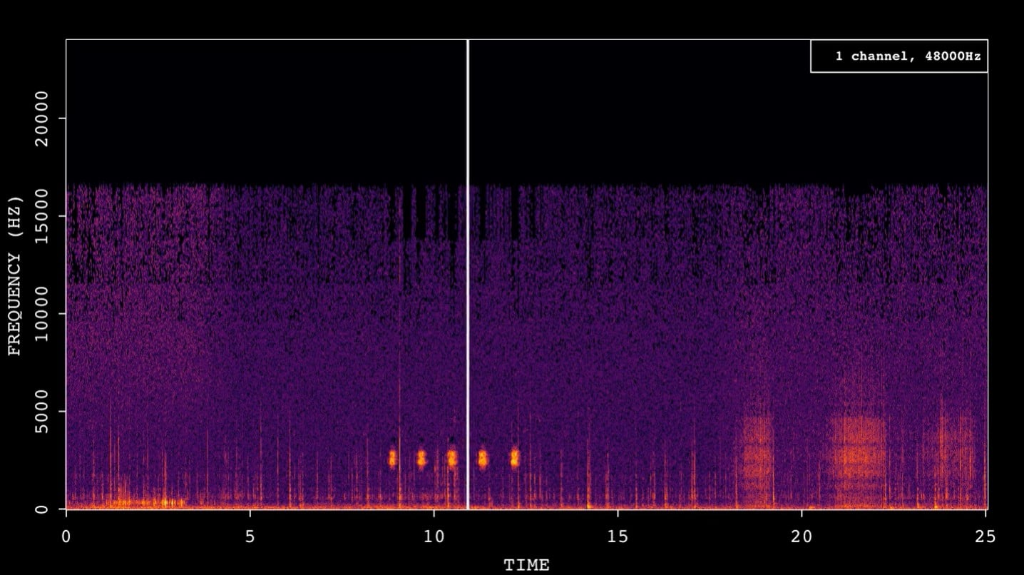 Soil Acoustics SUSC image of their sound
