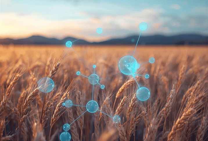 u27920-thumbnail_AB-consultants-wheat-field