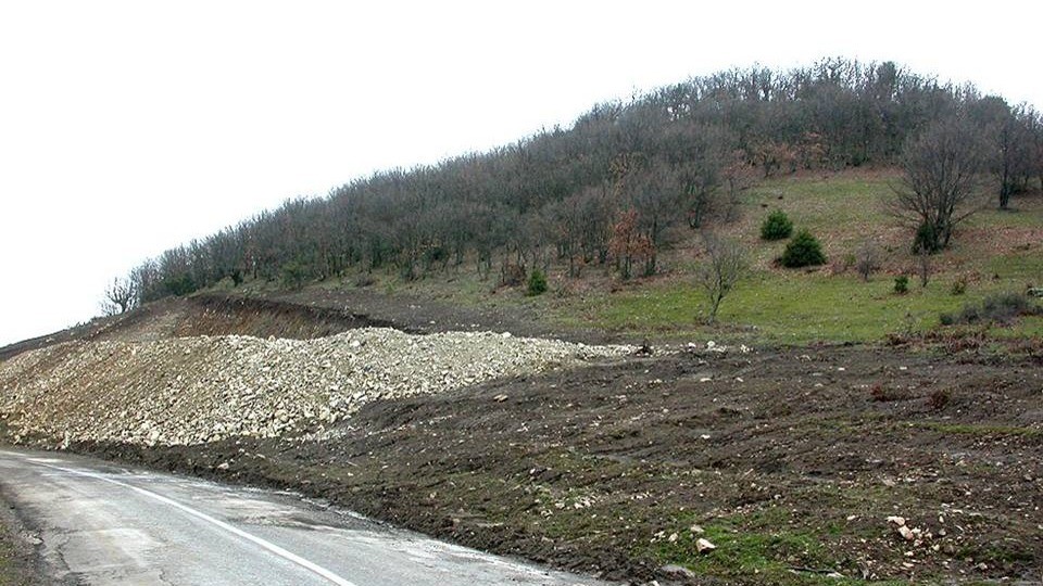 It’s time for Ecosystem Intelligence