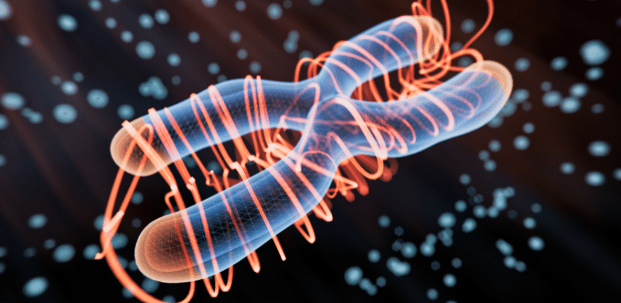 New tool unlocks non-GM routes to fast-track breeding and crop innovation