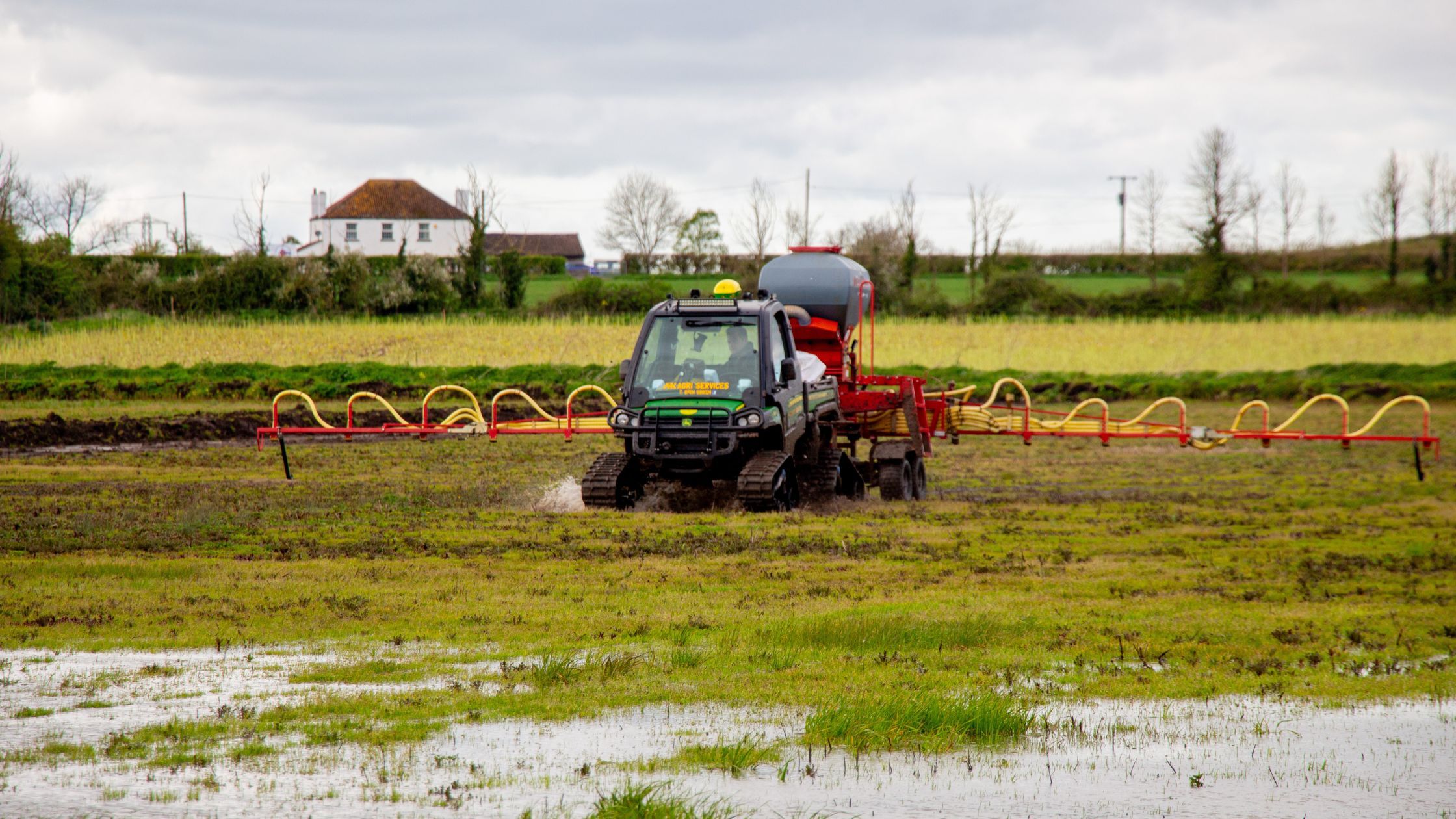 Harnessing Heavy Rain: Wetlands as Nature’s Carbon Champions