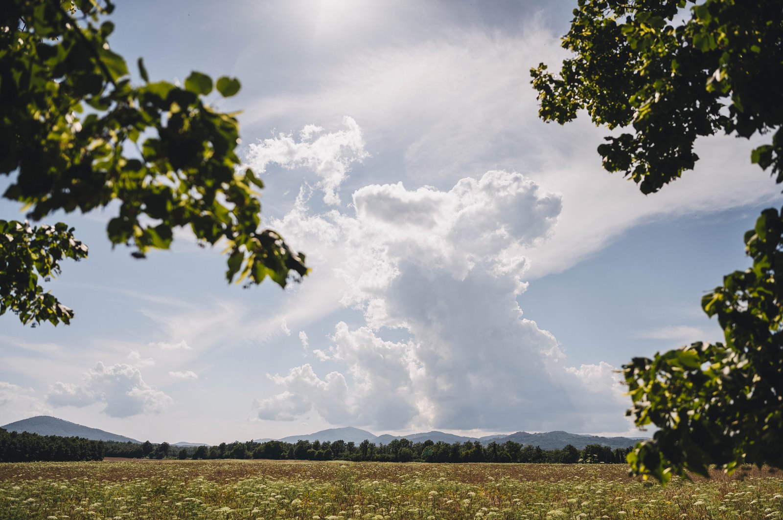 Can farmers afford (not) to trial biological tools this season?