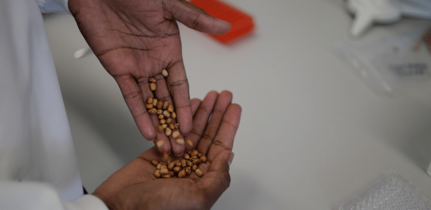 COP30 film highlights how Crop Science Centre collaborations are empowering farmers through sustainable innovation