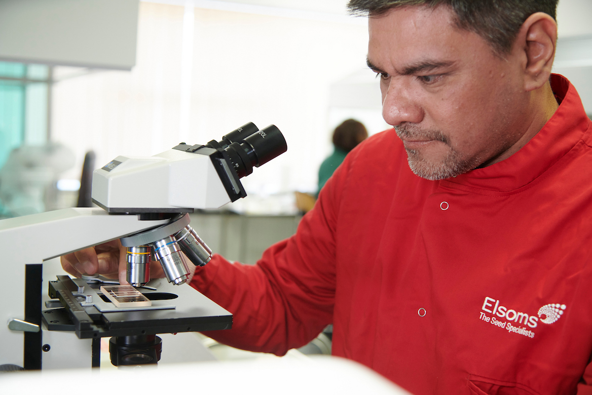 UK Precision Breeding Act – transforming crop development and food security