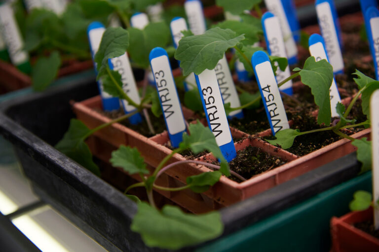 Elsoms_26March25_071-768x512