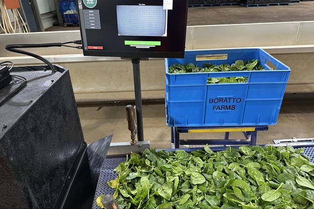 AI removing the “subjectivity tax” on the supply chain