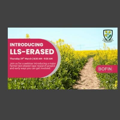 BOFIN Webinar: get involved with a new OSR project and knowledge exchange community