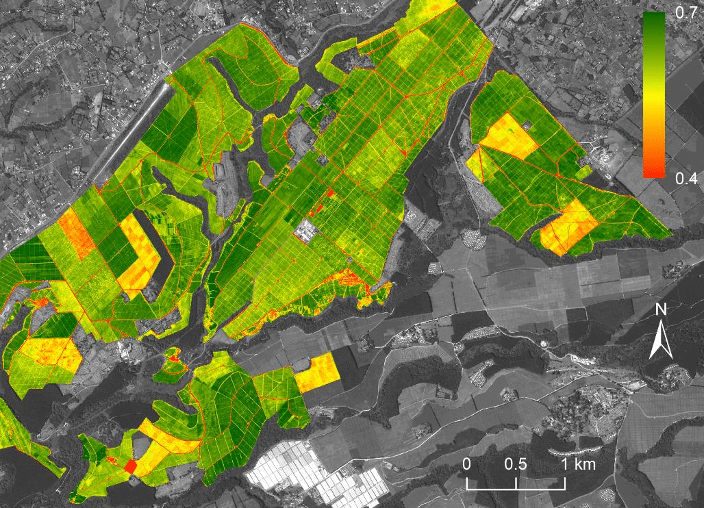 NDVI satellite image of tea estate in Kenya. Darker green indicates ready to harvest, yellow or orange recently pruned.