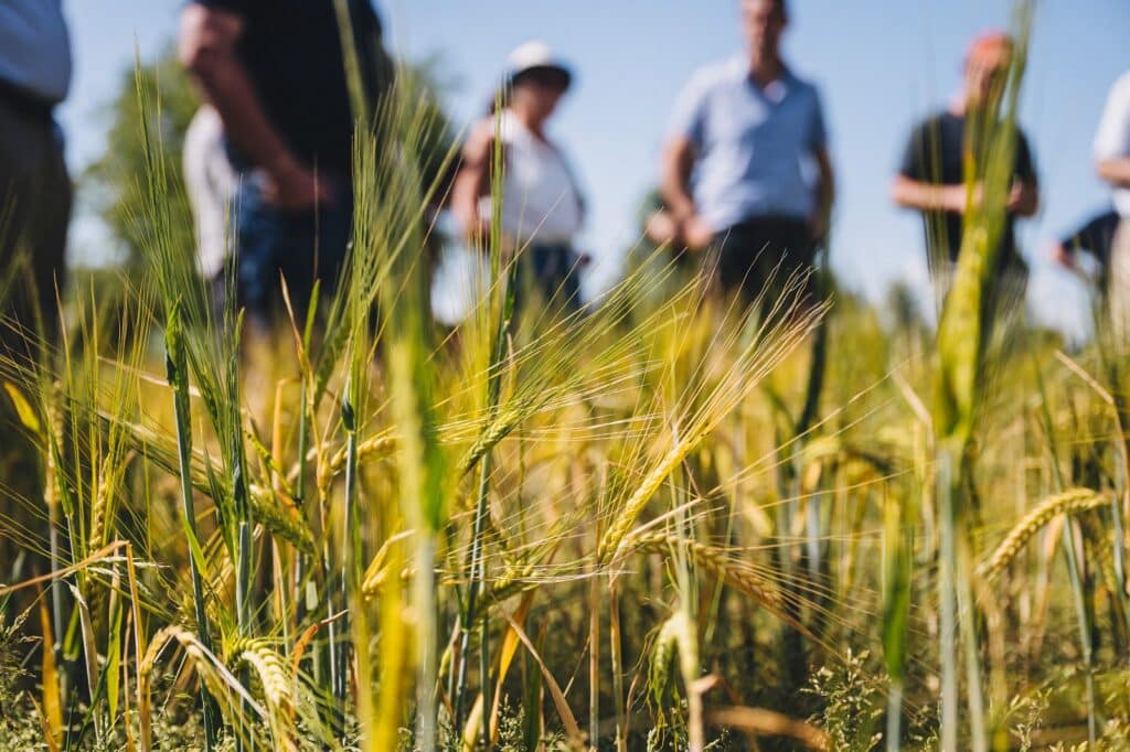 Regen-Workshop-June-25-94