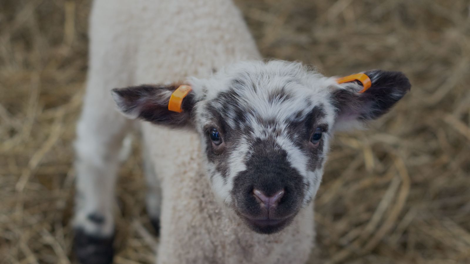 Farming Update – March 2026