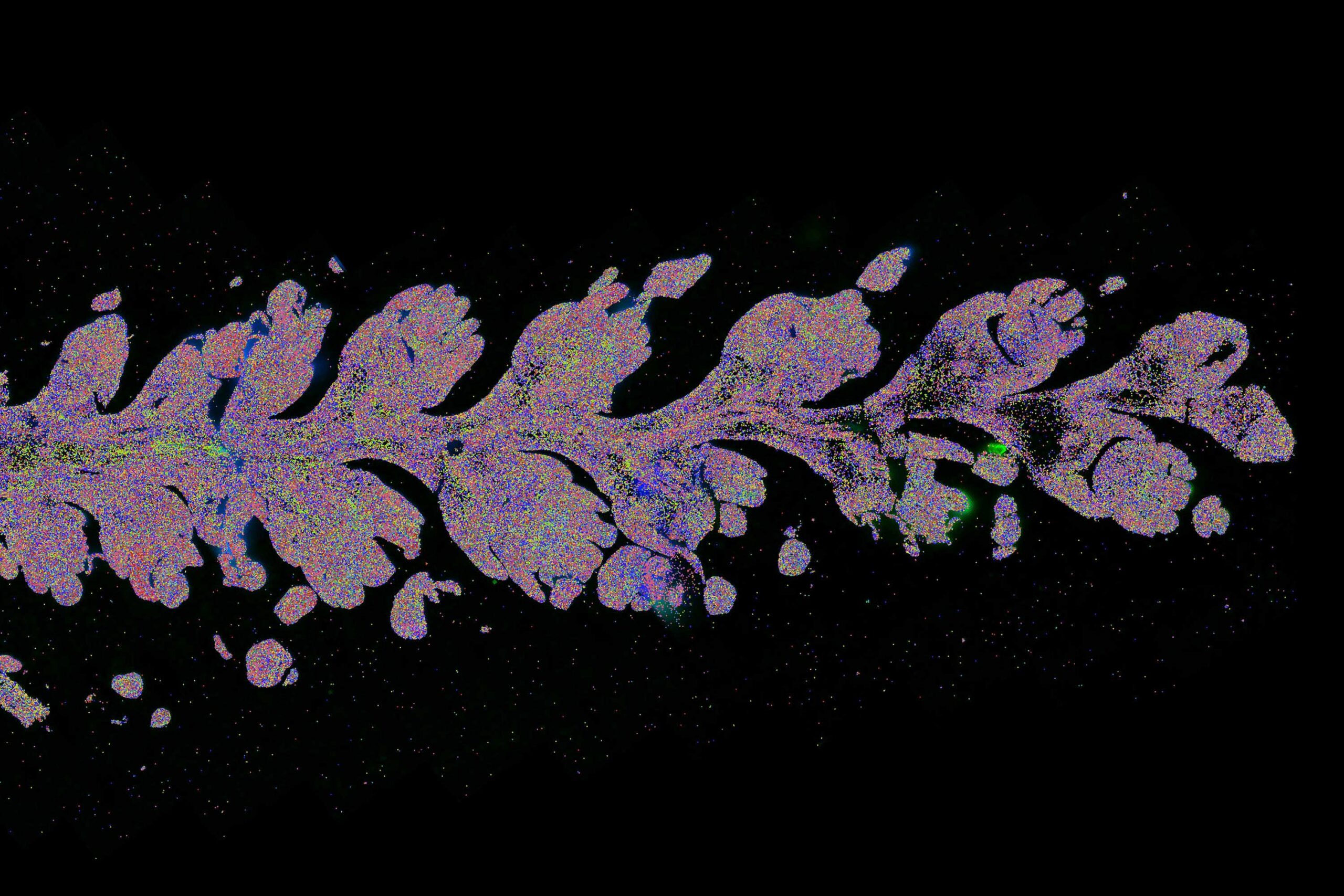 Wheat-spike-spatial-closeup-scaled