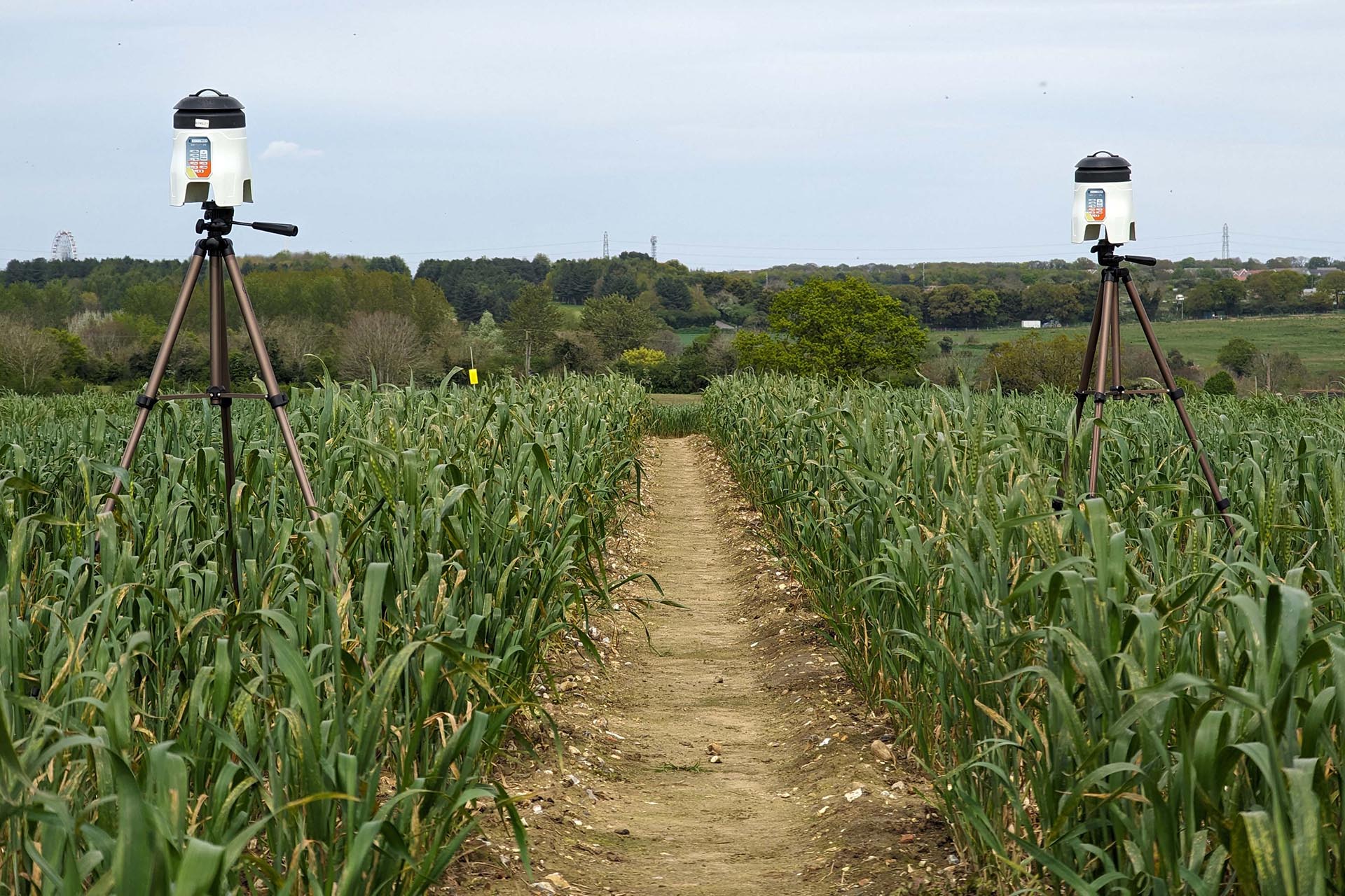Earlham Institute and Natural History Museum launch deep tech startup Agnos Biosciences™