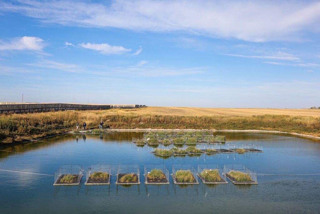 Floating-Islands-small-1
