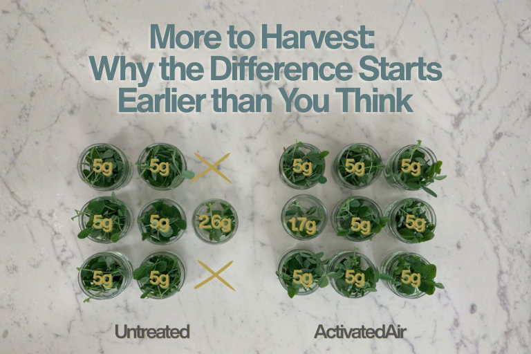 More to Harvest: Why the Difference Starts Earlier than You Think