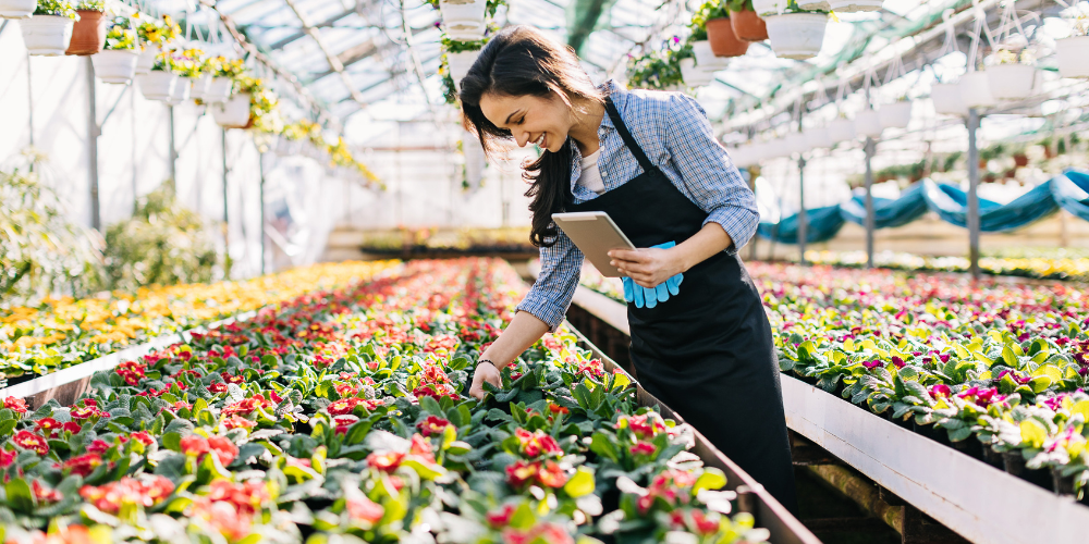 Irrigation scheduling without the manual guesswork: how Ostara makes it possible