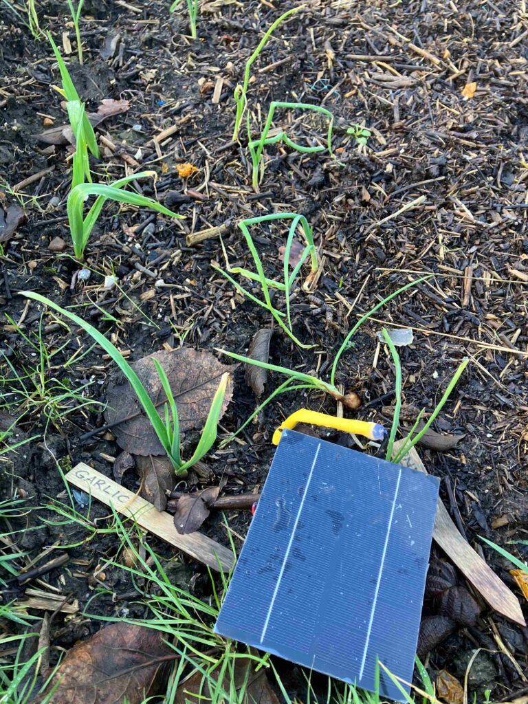 Sensor-in-field-right-size-Farmer-Charlie