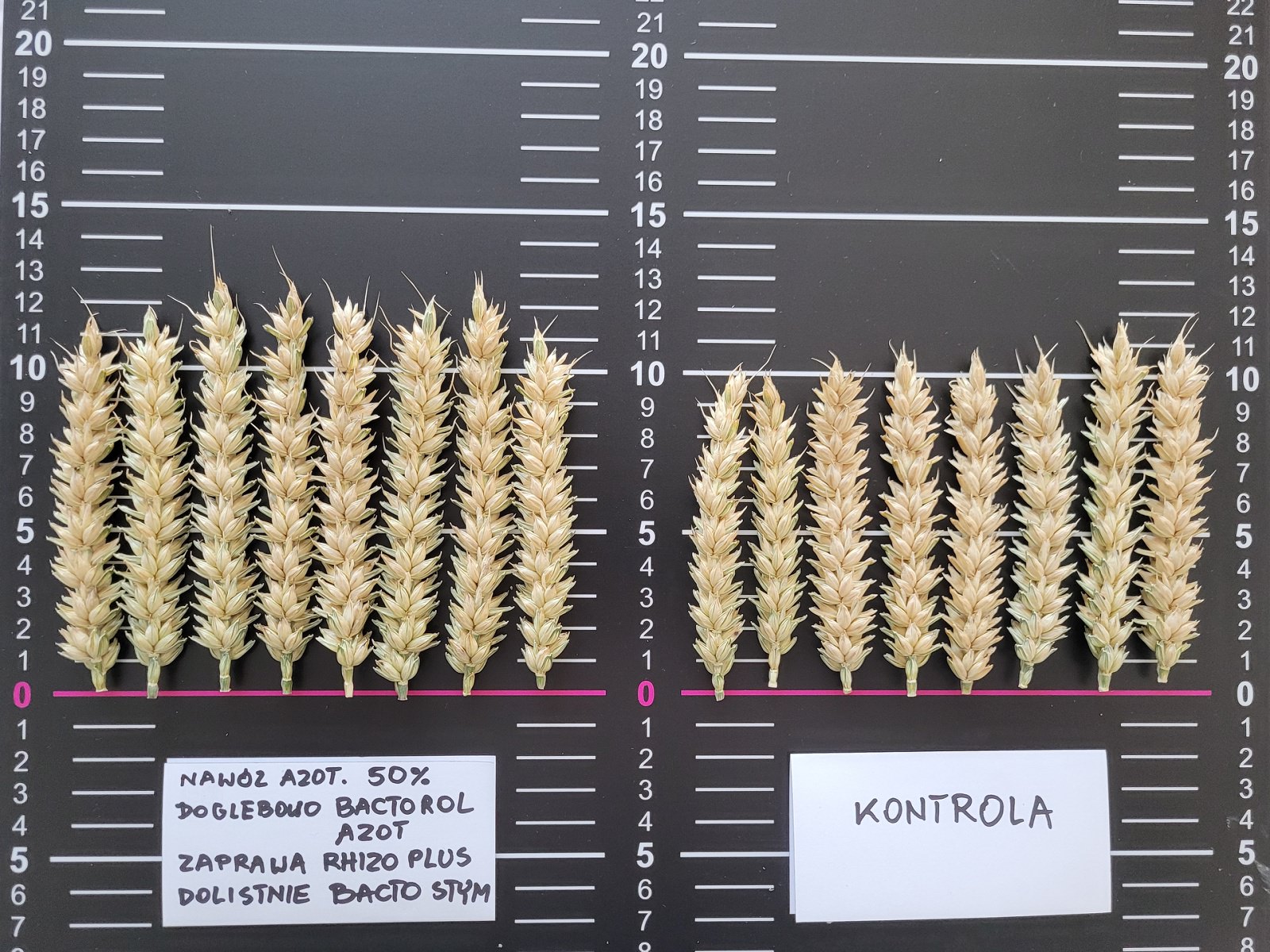 agri-techE-BactoTech_0002